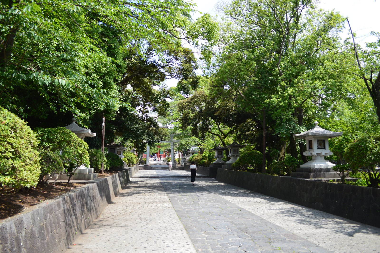 富士山本宮浅間大社 参道（撮影：Saigen Jiro／Wi